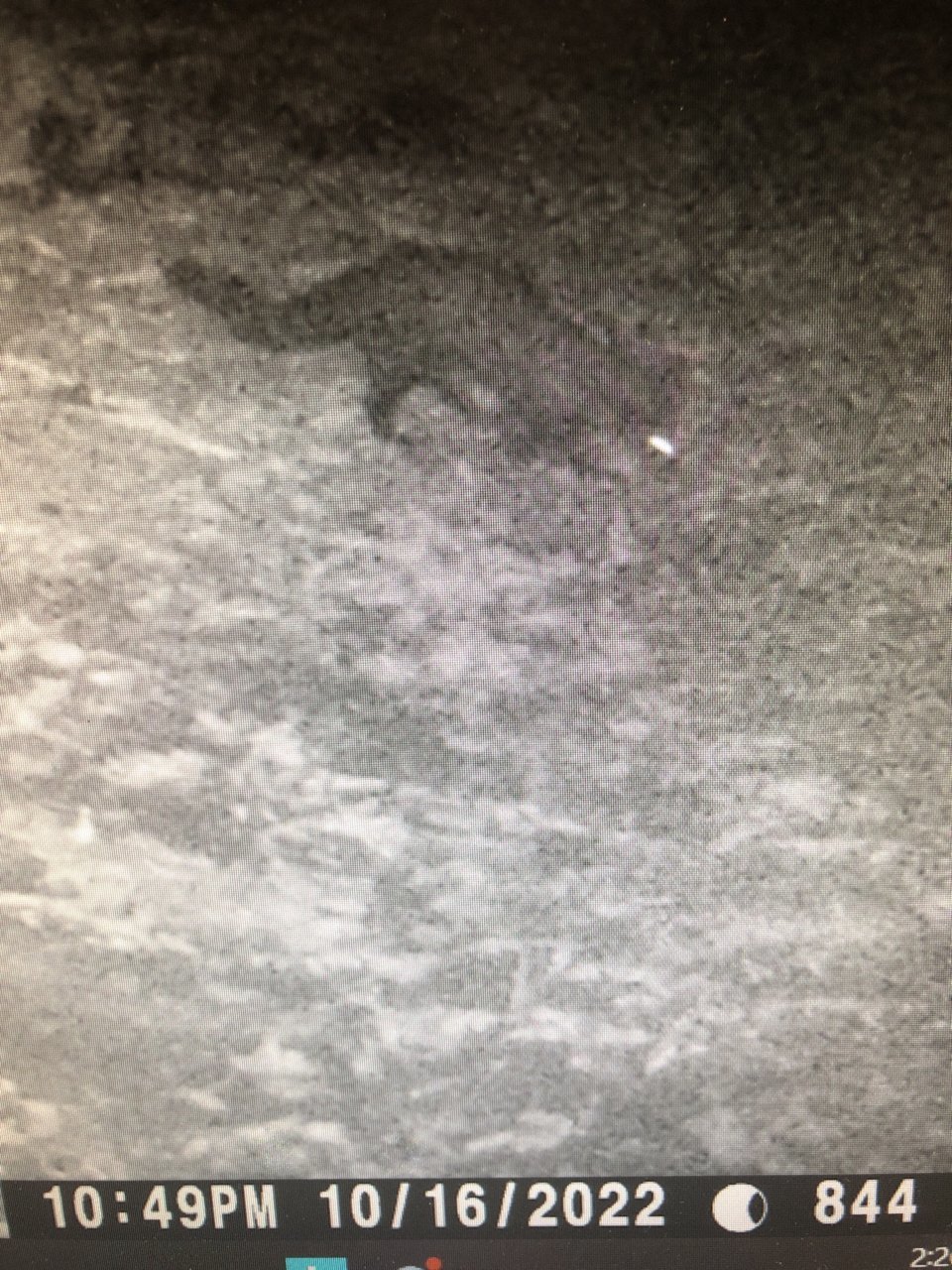 B5354CD4-EDEF-4CF0-AE5B-919CE80DEFD6.jpg