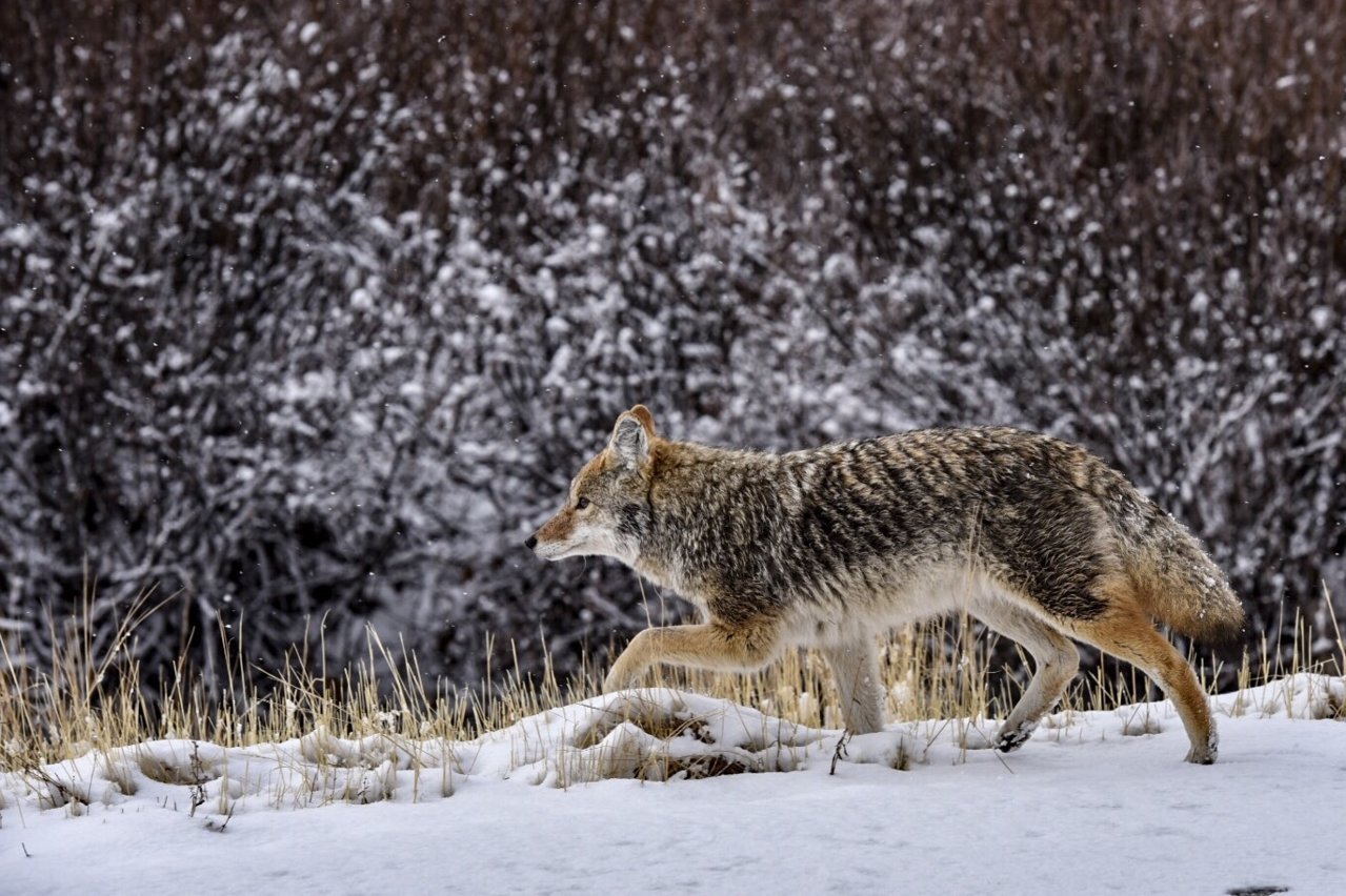 B56EEEDD-2D81-4BC1-89BE-CA5CEFF8A86D.jpg