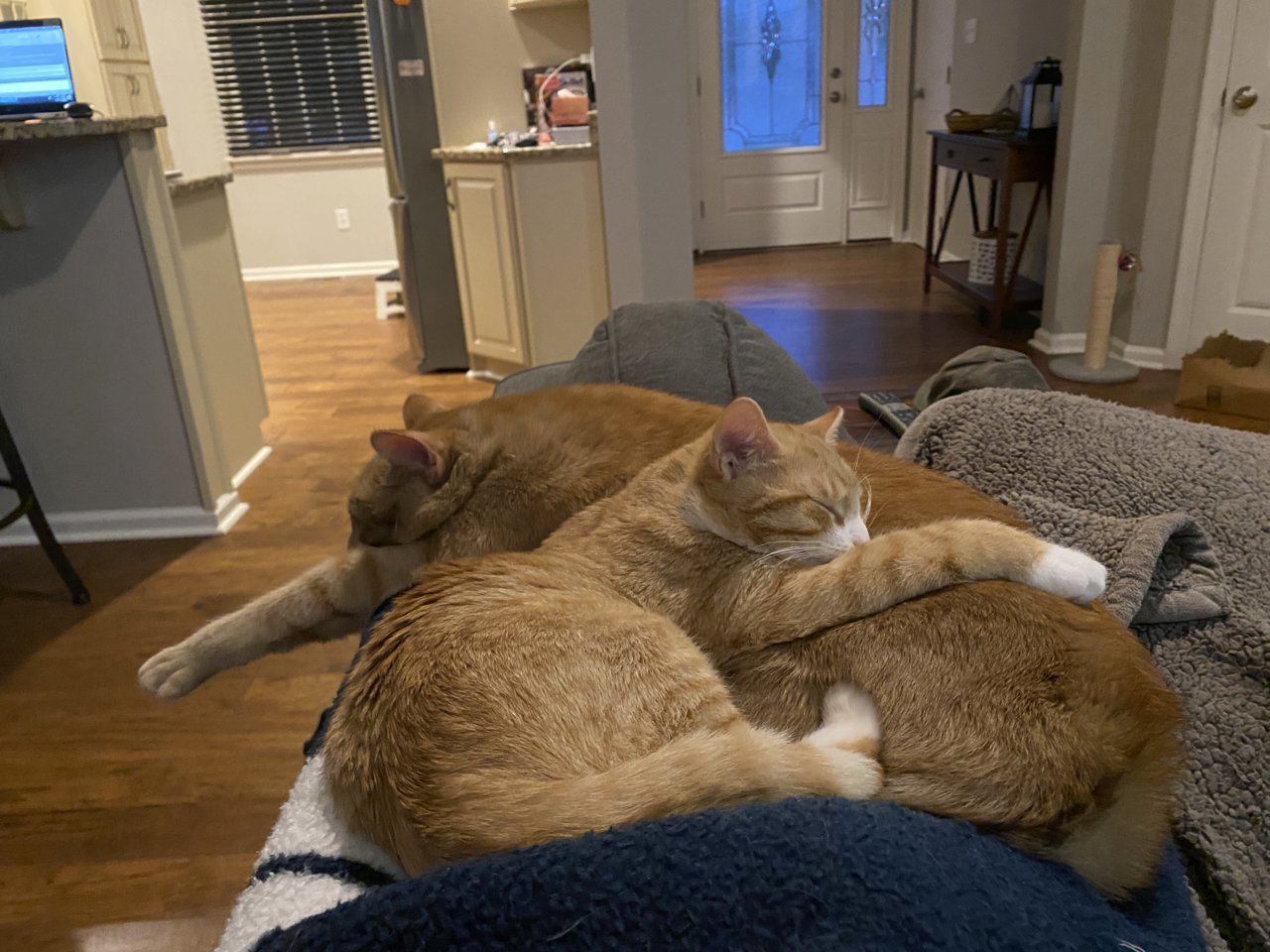 B5D3768E-D7EC-4538-B788-C8291277ACE8.jpg
