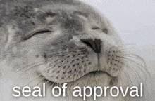 b5e579812b5ce0329277065485d7e000e5bd4740.gif