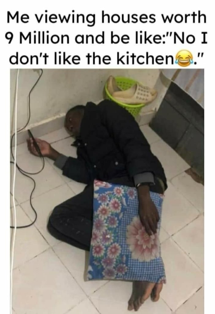b5f71e84db099bf4b0eadda3f184ed13e9f00336a969fdddbae7751ad97e9eb1_1.jpg