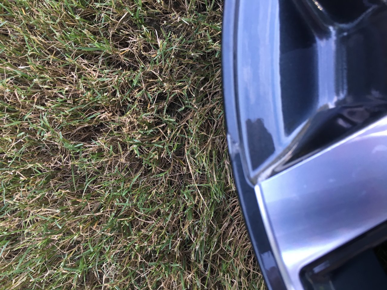 B5F7F245-04AC-4BDE-B387-4F8B9DDA2C84.jpg