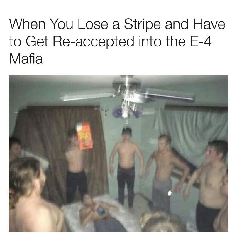 b5zj8ejdjg131.jpg