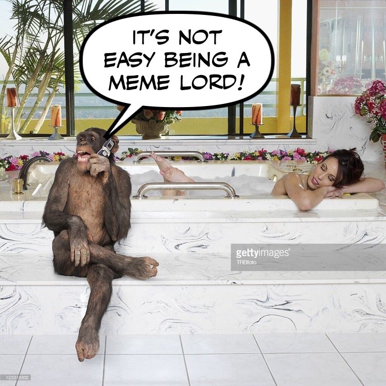 B64F8F31-A9B8-4A1C-913C-8EA713B056D1.jpg