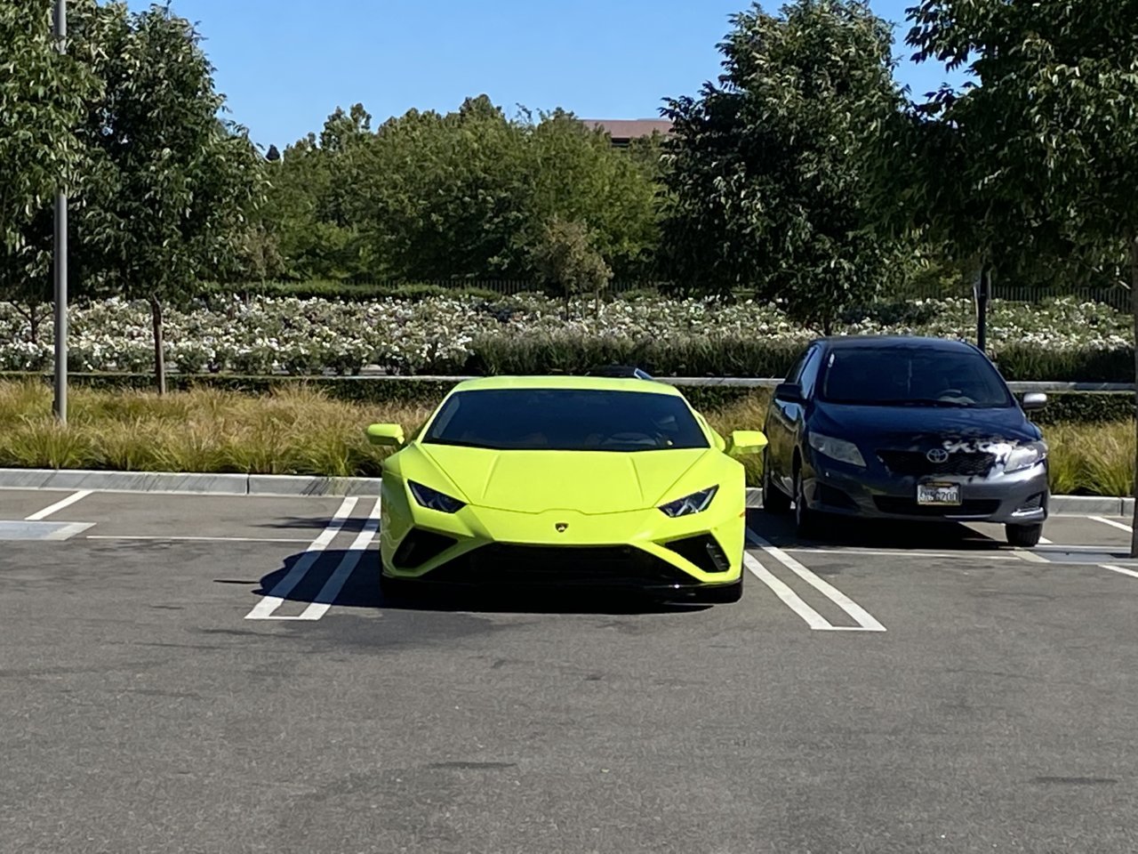 B6620A21-AD9F-43A2-876F-177EA709A456.jpg