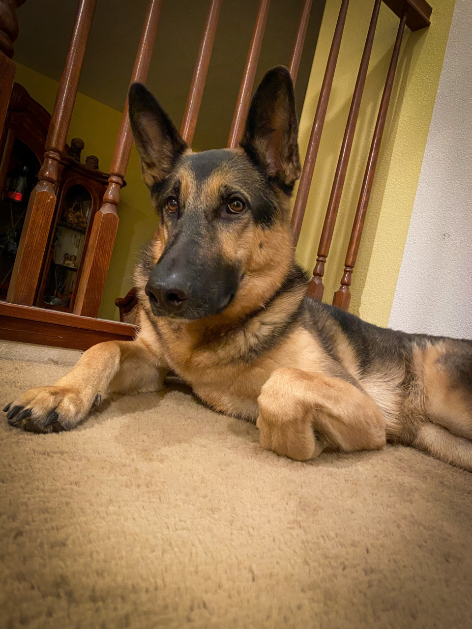 B710374B-8CF2-4FE7-8EBD-7805E6FD1F46.jpg