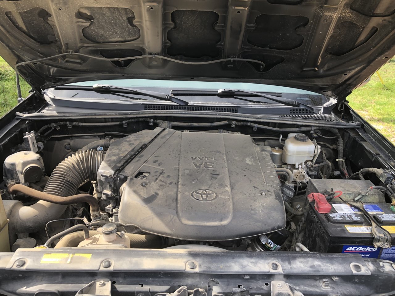 B71E1987-F8DF-48D1-B199-105C27FB9332.jpg