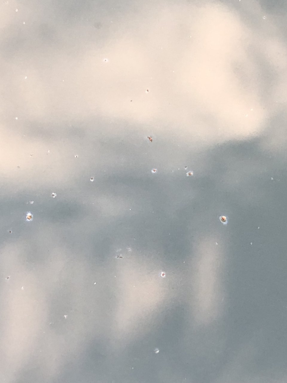 B71FAFB4-5C7B-4FDE-BC4D-E1C25D0D0F4E.jpg