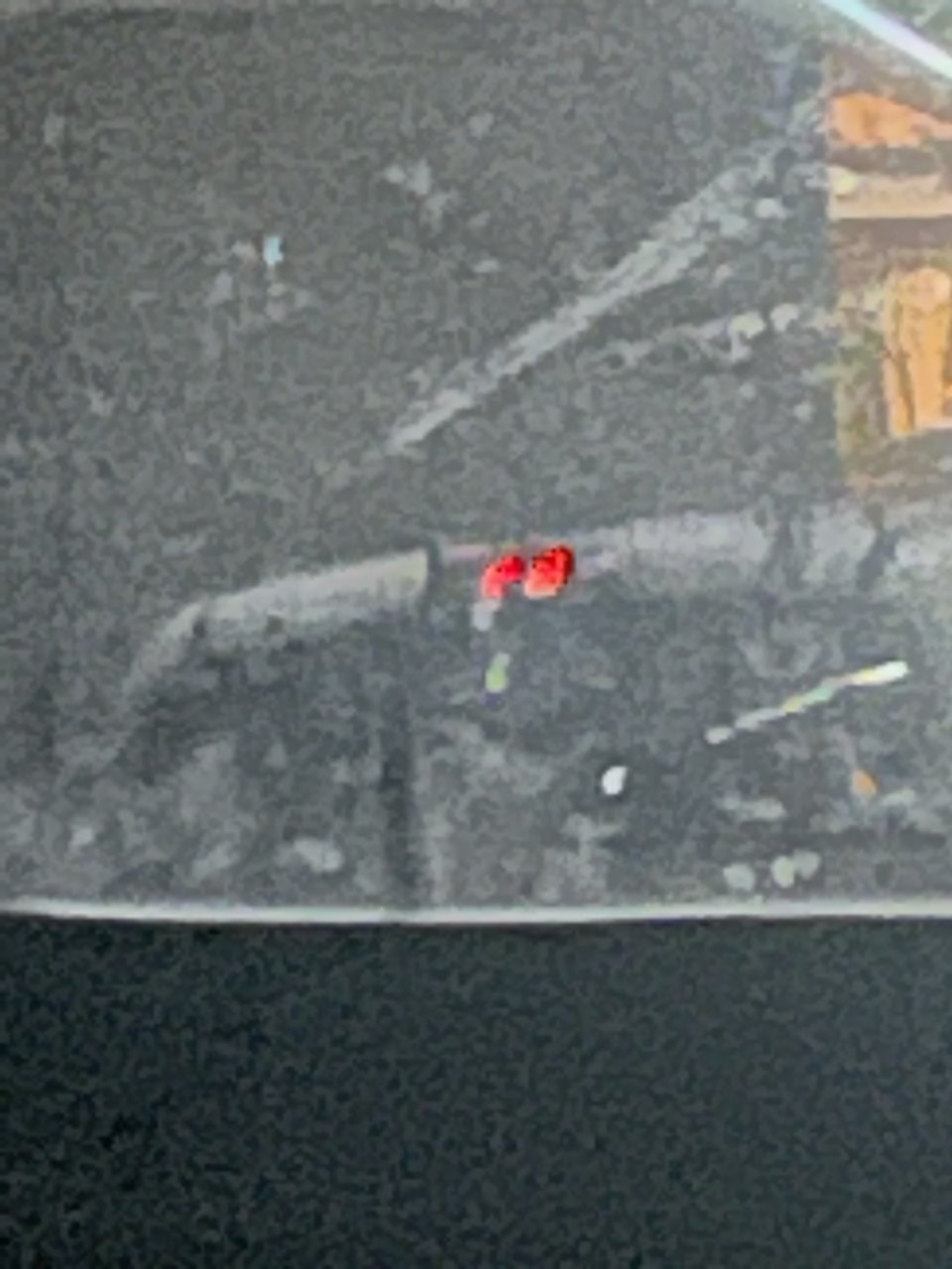 B72723F4-D2B0-48DB-80F7-9FF397C6B35C.jpg