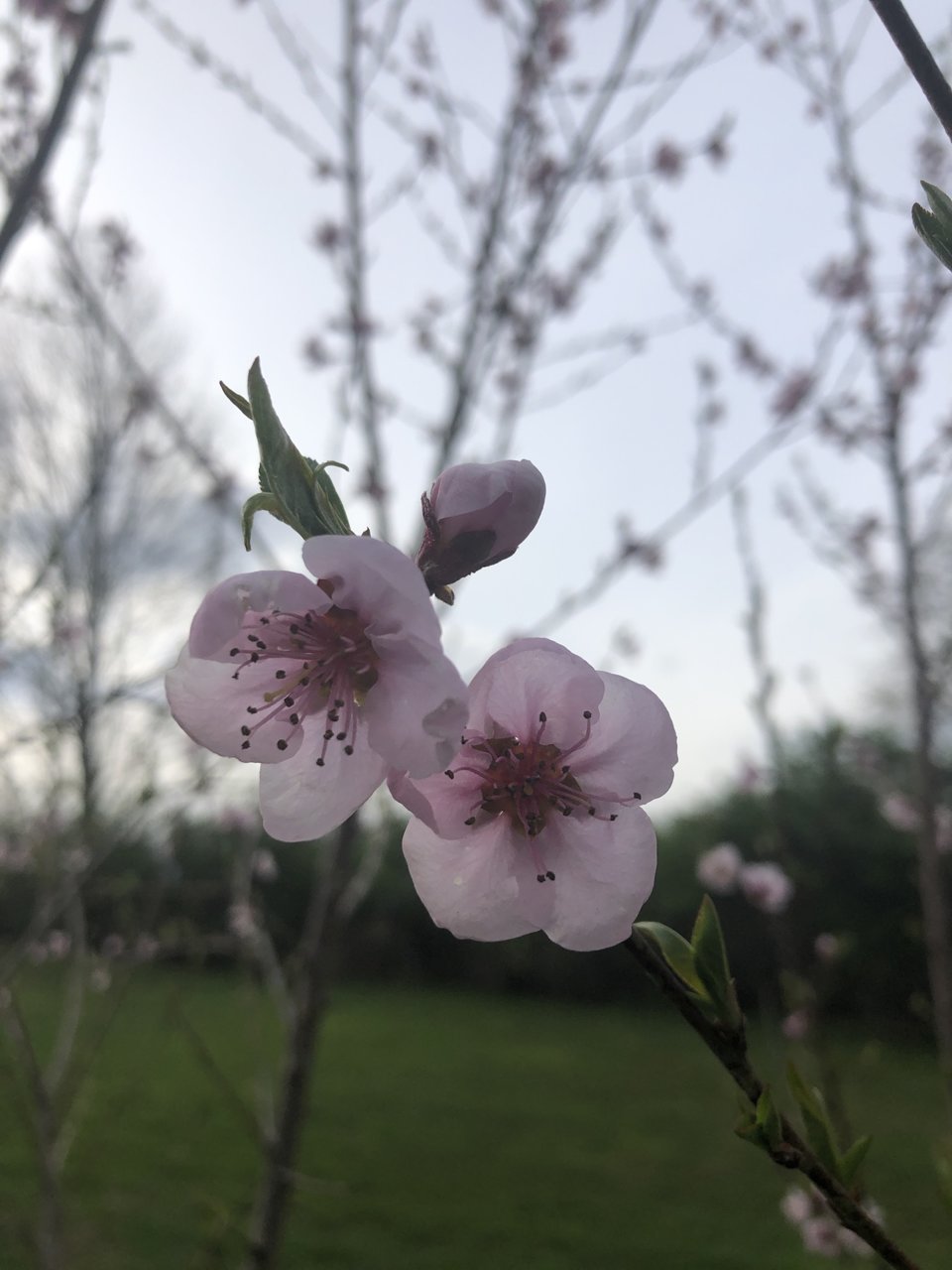 B7DB78FA-E410-41C6-8249-69D769C6C34B.jpg