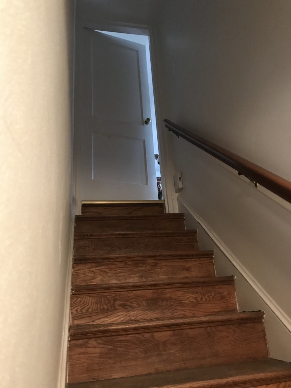 B95B5CE4-61B3-48FE-80E9-0B9325EDA776.jpg