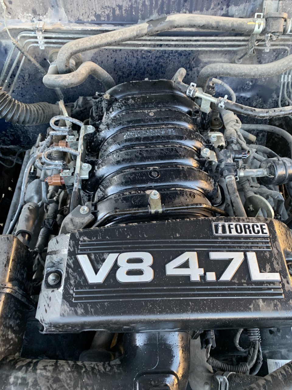 B9A9DAE1-E502-4F72-9679-BA25E61FF9A0.jpg