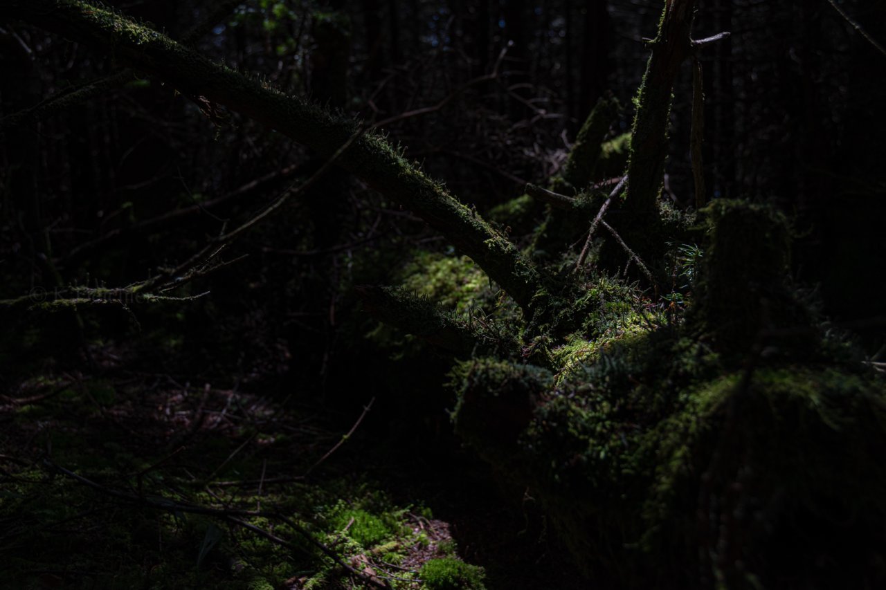 BA3045C9-144B-47DF-85C9-F83765BE7D40.jpg