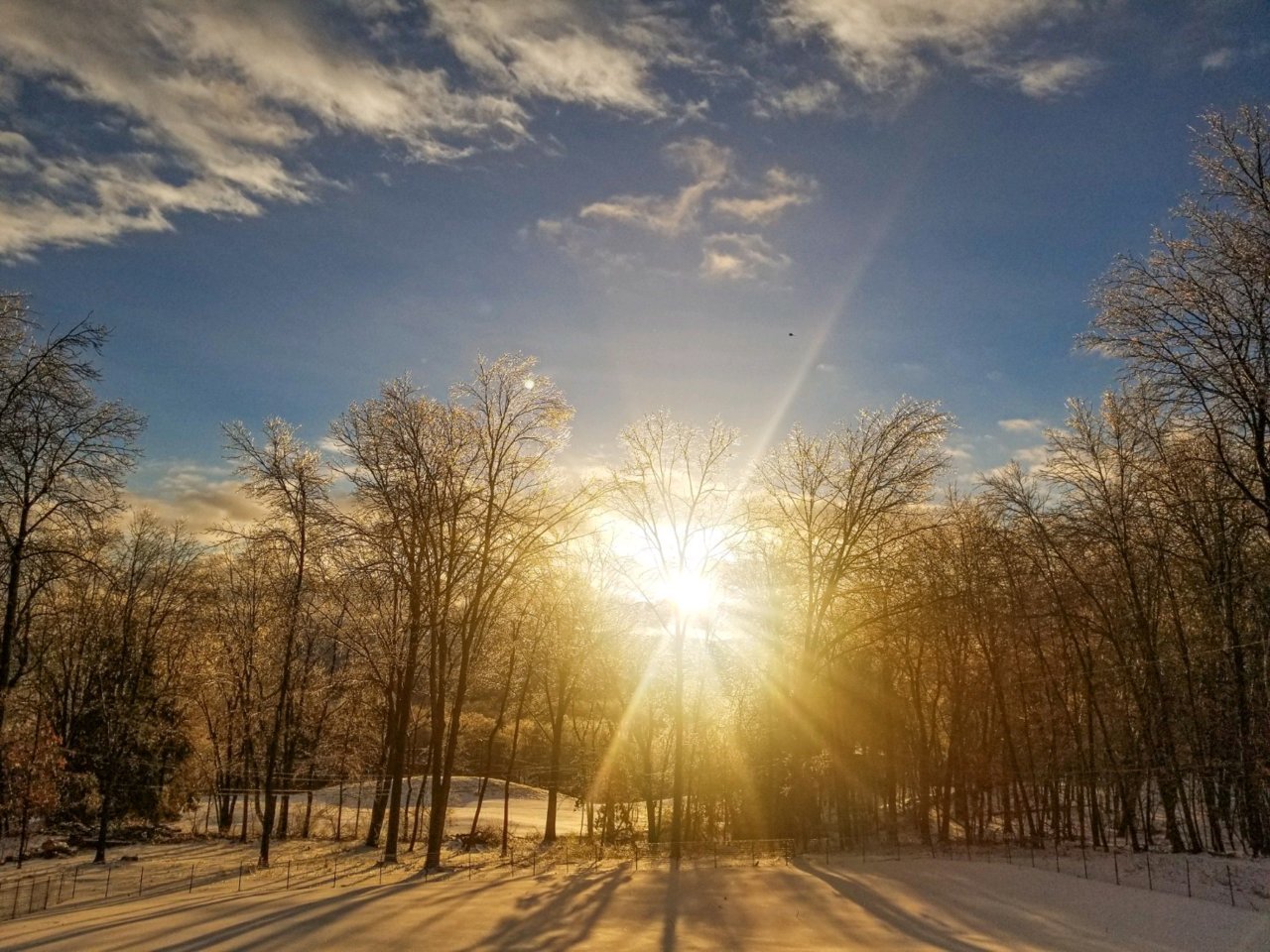 BA6AD2E7-B9AD-4ECA-9FF8-7245B2DF2323.jpg