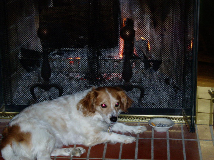 babyatfireplace.jpg
