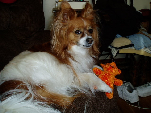 babynikkihoney 003.jpg