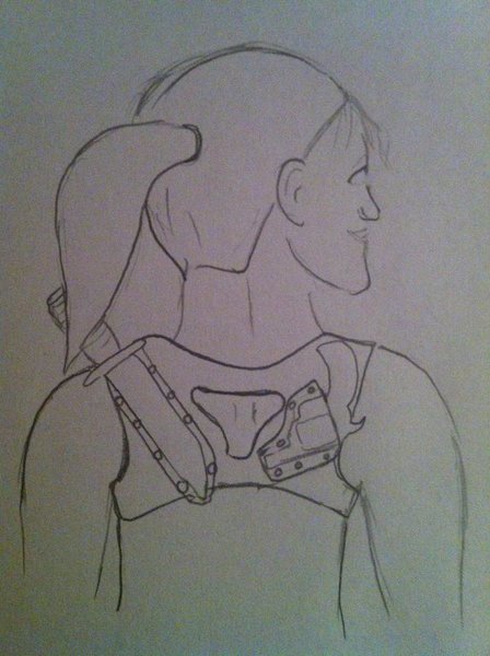 Back Harness.jpg.jpg