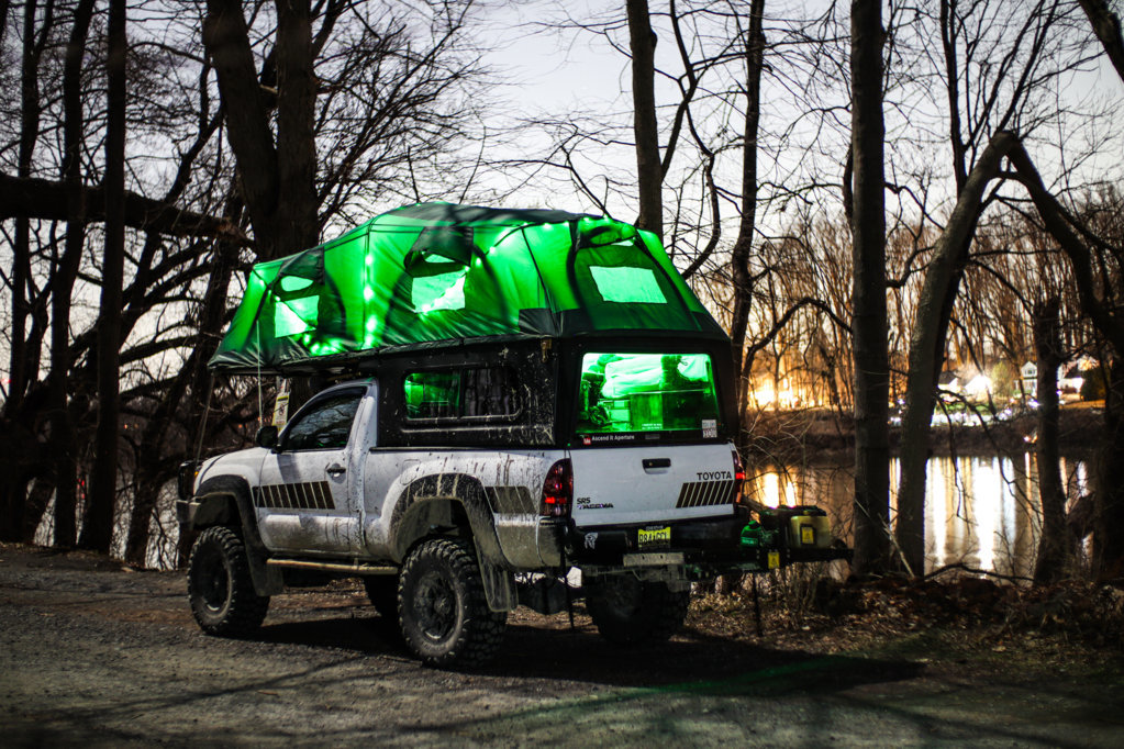 back in the greenwoods-11.jpg