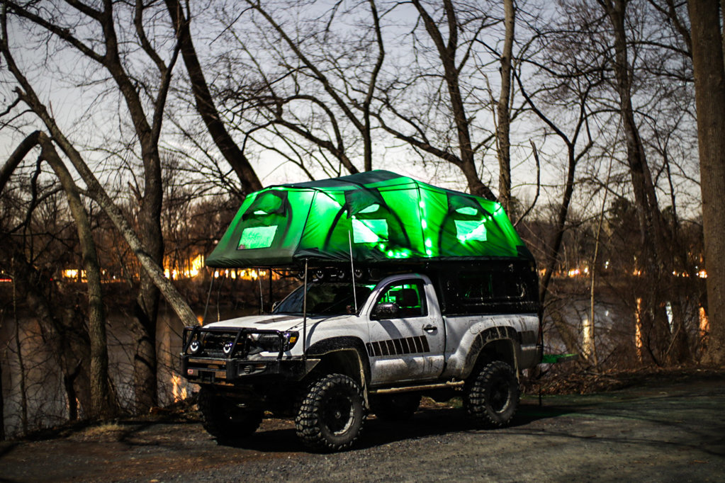 back in the greenwoods-9.jpg