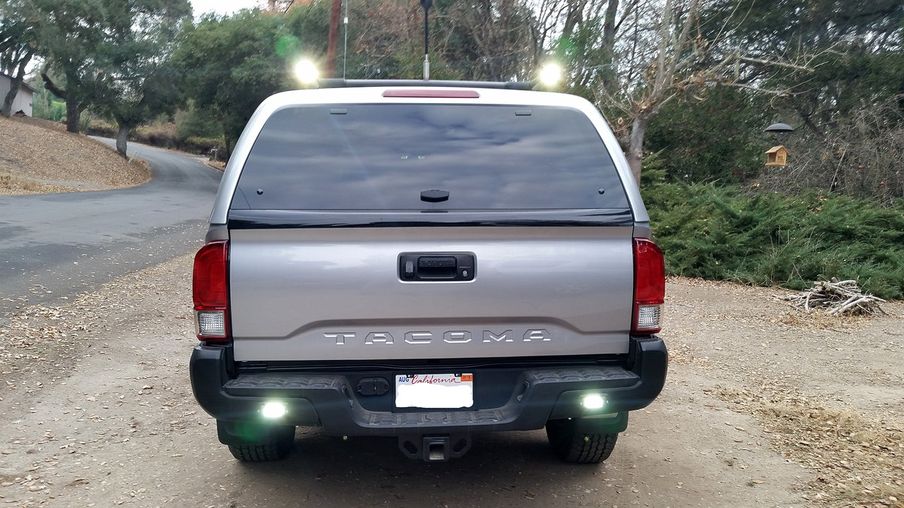 back-lights3.jpg