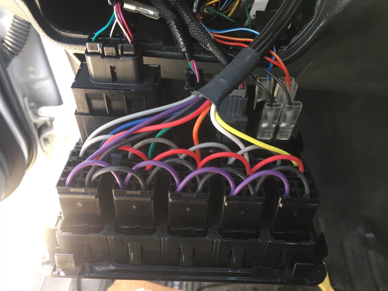 Back of Panel.jpg