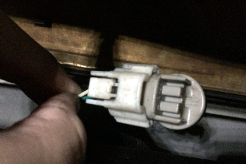 Back of Socket.jpg