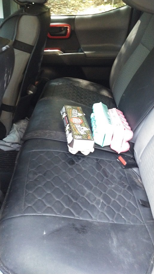 Back Seat Covers.jpg