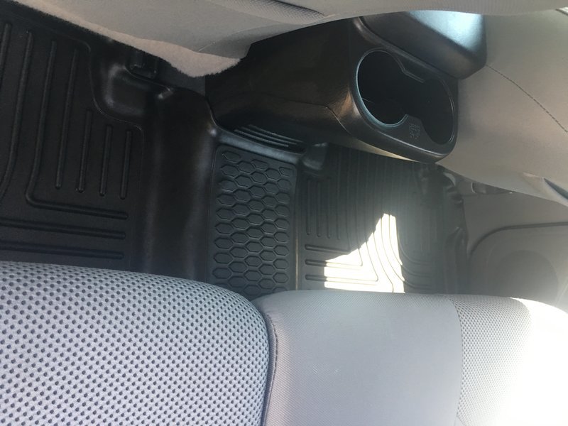 Back Seat Husky.jpg