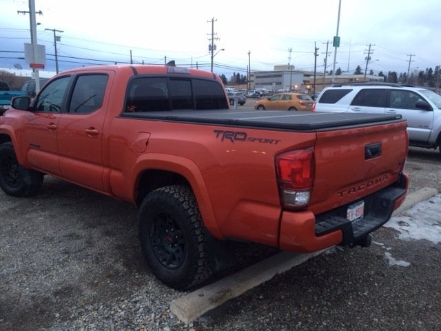 back truck.jpg
