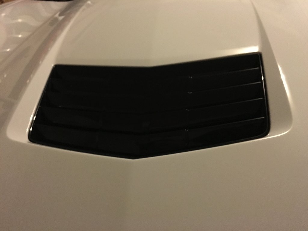 backerdsskewp.jpg_zps3dhkiihg_d8e5c9376ea4a72f2723287295985f81e176b9da.jpg