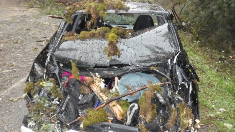 Backofcar1_15f40e1b74317143f9c51f71c546065780f26eb6.jpg