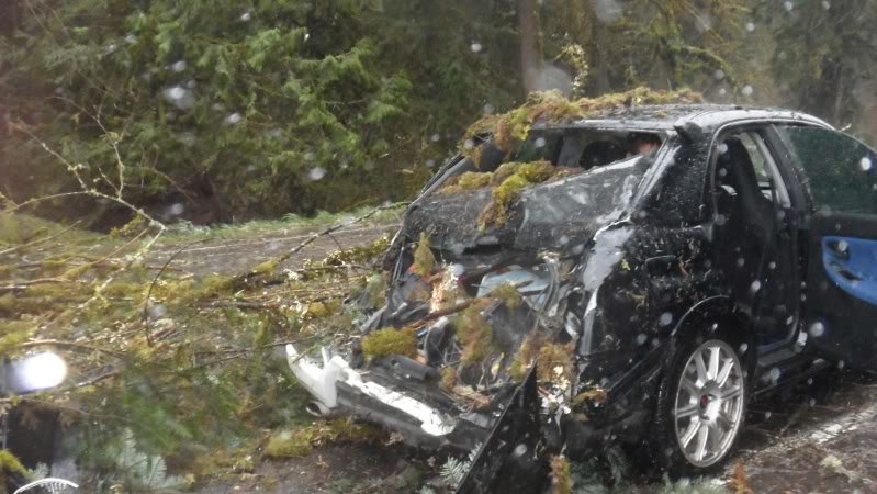 Backofcar4_001e8f3d201972071de140054a512921c0442d58.jpg