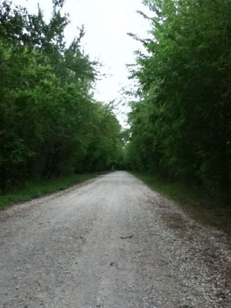 backroad.jpg