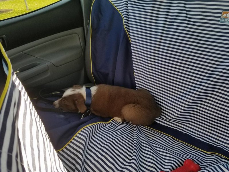 Backseat.jpg