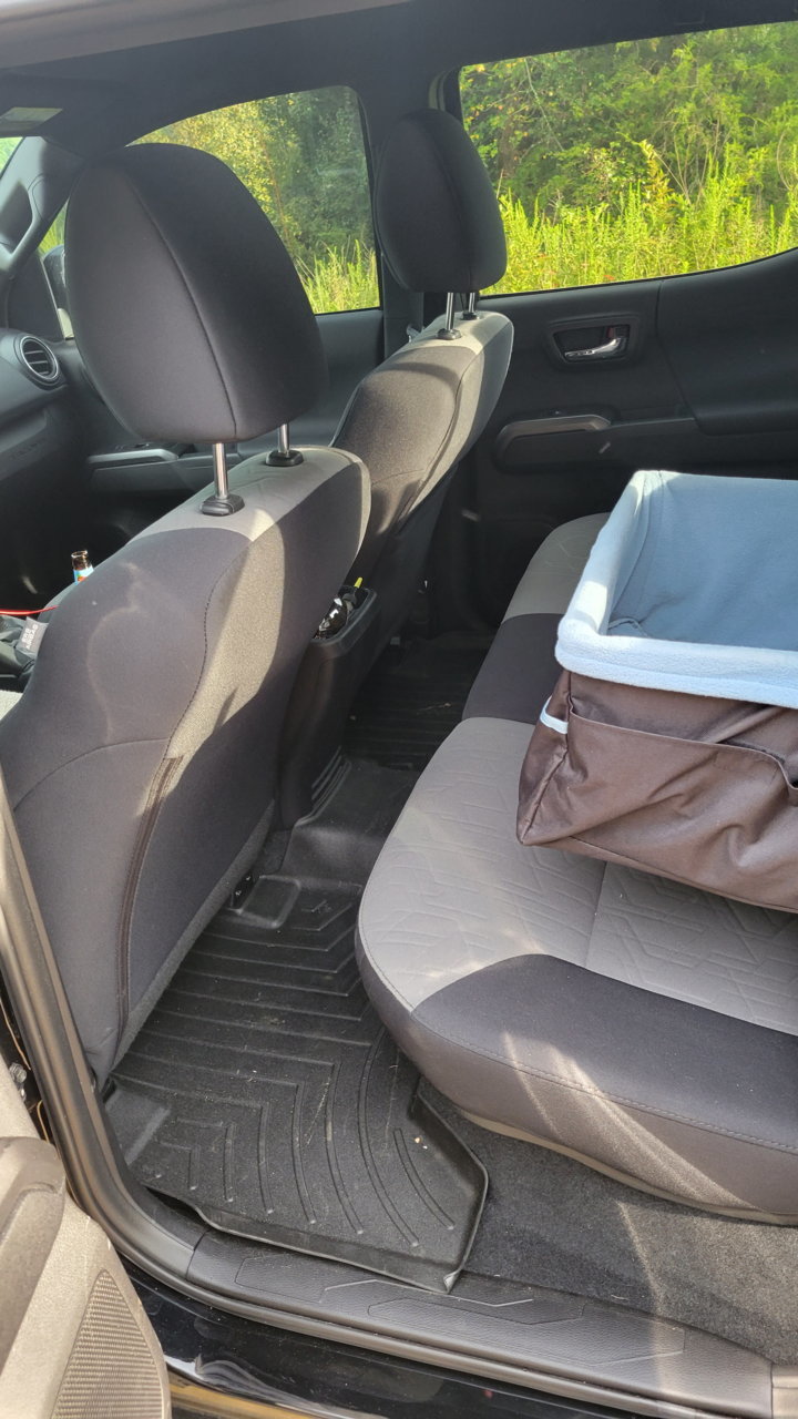 BackSeat.jpg