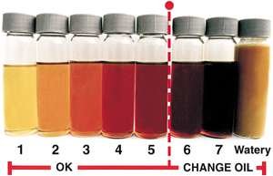 Backup_199811_graphics_color1.jpg