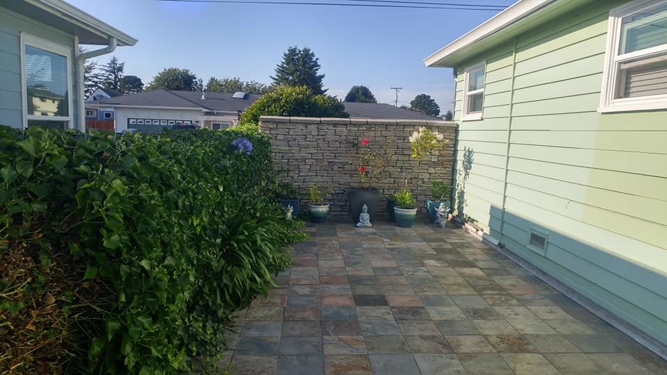 Backyard before.jpg