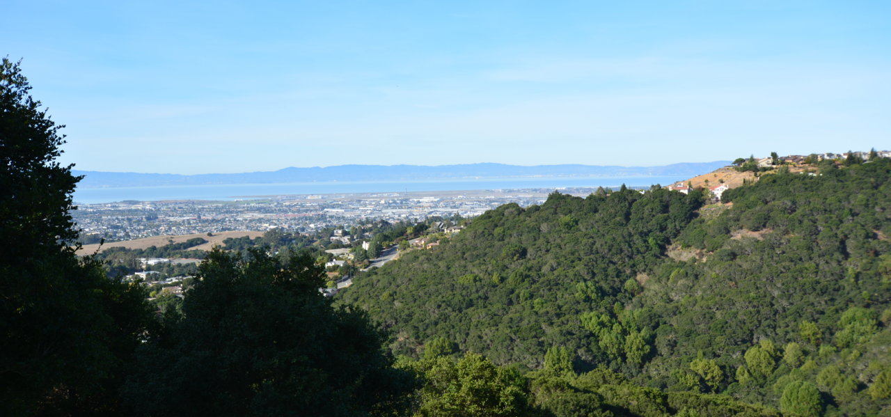 backyard view.jpg