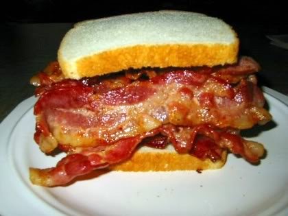 bacon5_05aa43972130822ece43a2775f74888bac4b99e3.jpg