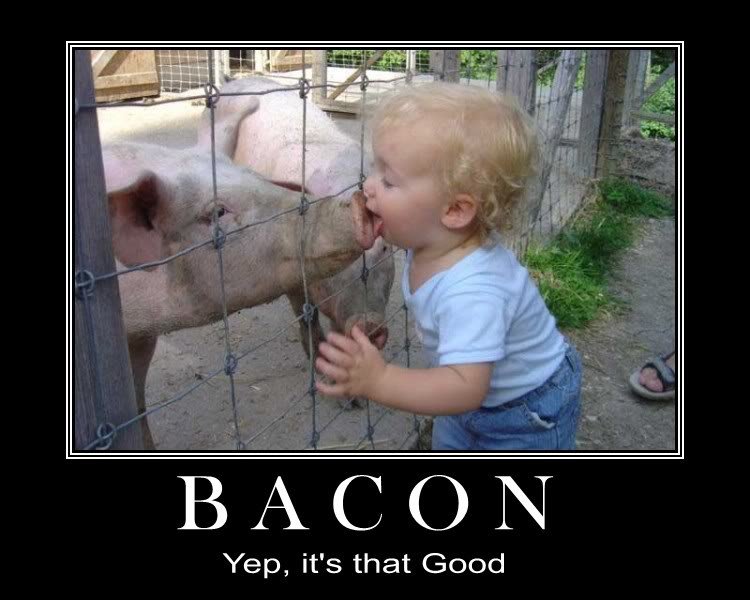 bacon_3dbc78c02a3bafd25d6762ba685ae7ad149c0ff1.jpg