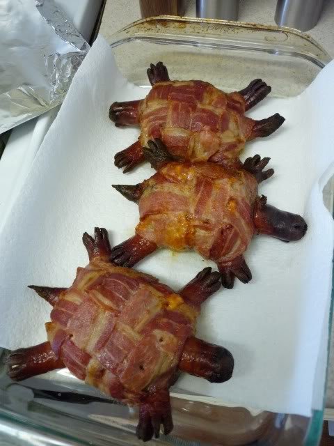 BaconTurtles_60936a166021516adec24c83fb4e4e0f42a8fff2.jpg