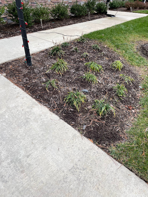 Bad Mulch.jpg