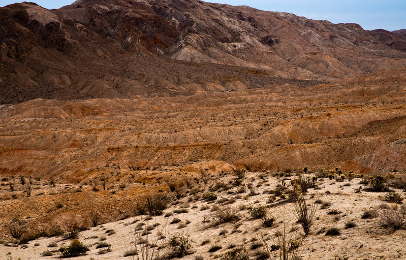 badlands.jpg