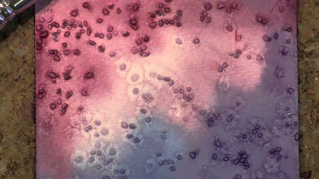 bafdc2cf76dbf98bcf1d81115fb24904_a7451c77ed5b549368d9481668bf617d20b8a65c.jpg