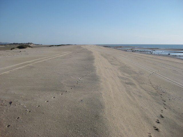 Baja2012-1021_5dbd7727867d7591f36a04a83afc97dd3d54c906.jpg