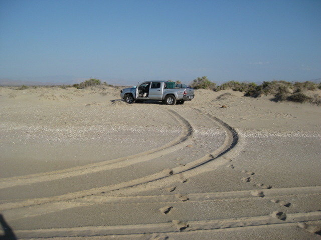 Baja2012-1022_c6f4f21d2117f0abfa308fe1dbec9455300867ee.jpg