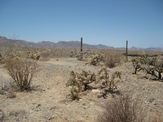 Baja2012-1052_b71bd73f030c3dd4453193ce3e45dc2d85d3e576.jpg