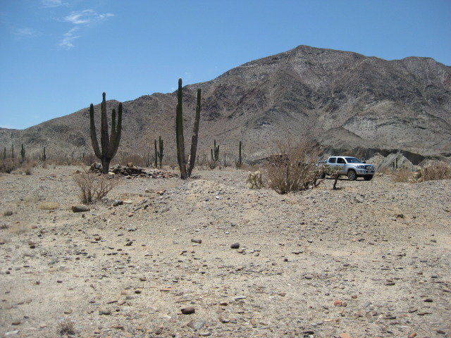 Baja2012-1056_f3f87cacd2030200ef3b368a975538c161325c7f.jpg