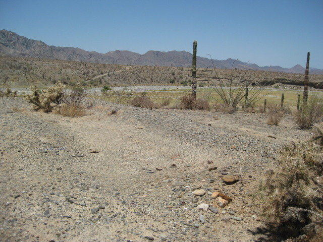 Baja2012-1057_9cb83b0e2f27c5ce38a996e9395bc4a769d53b2e.jpg