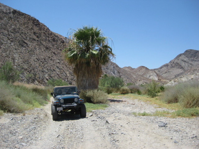Baja2012-1062_541d5407dd2602c003a2612623c9babfde3e77e0.jpg